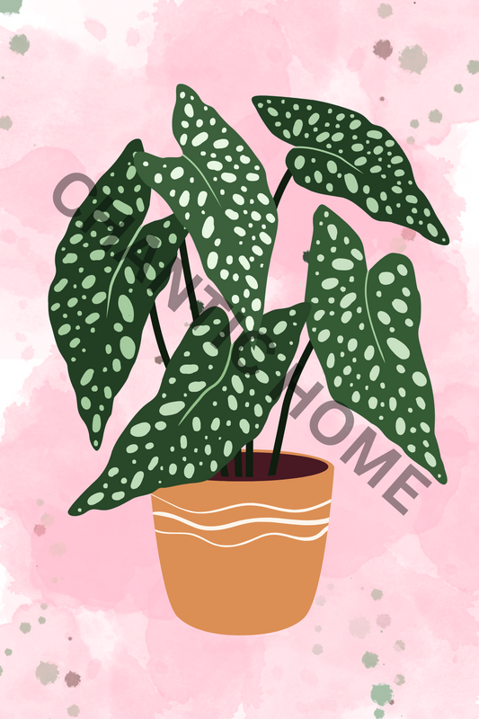 Planted Pot Art Print, Plant Print