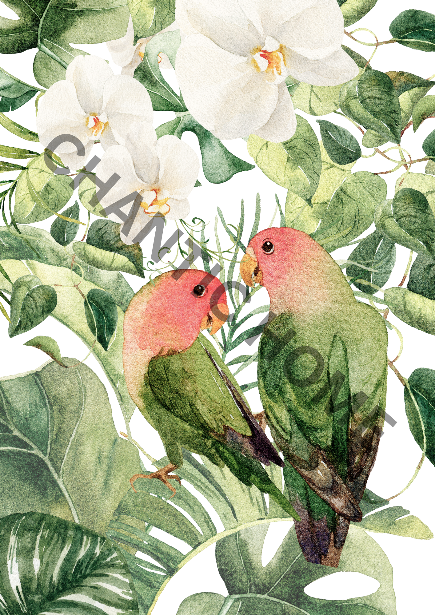 Parrot Couple Art Bird Print, Animal Print