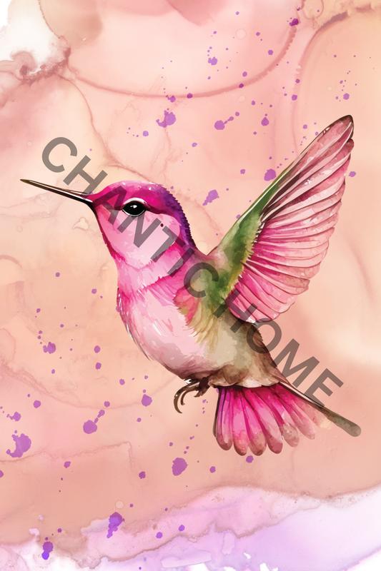 Hummingbird Art Bird Print, Animal Print