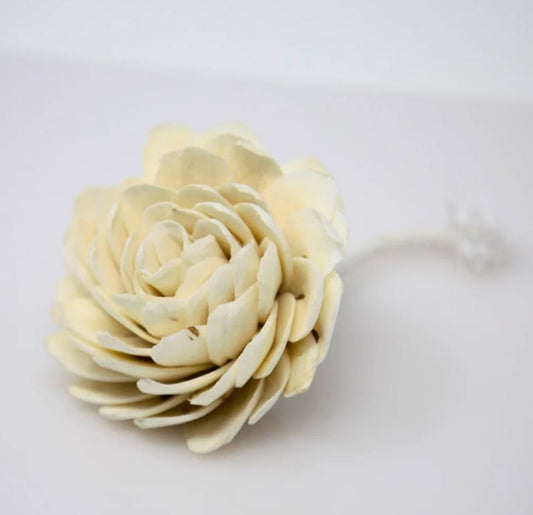 Flower Diffuser Reed - Aster