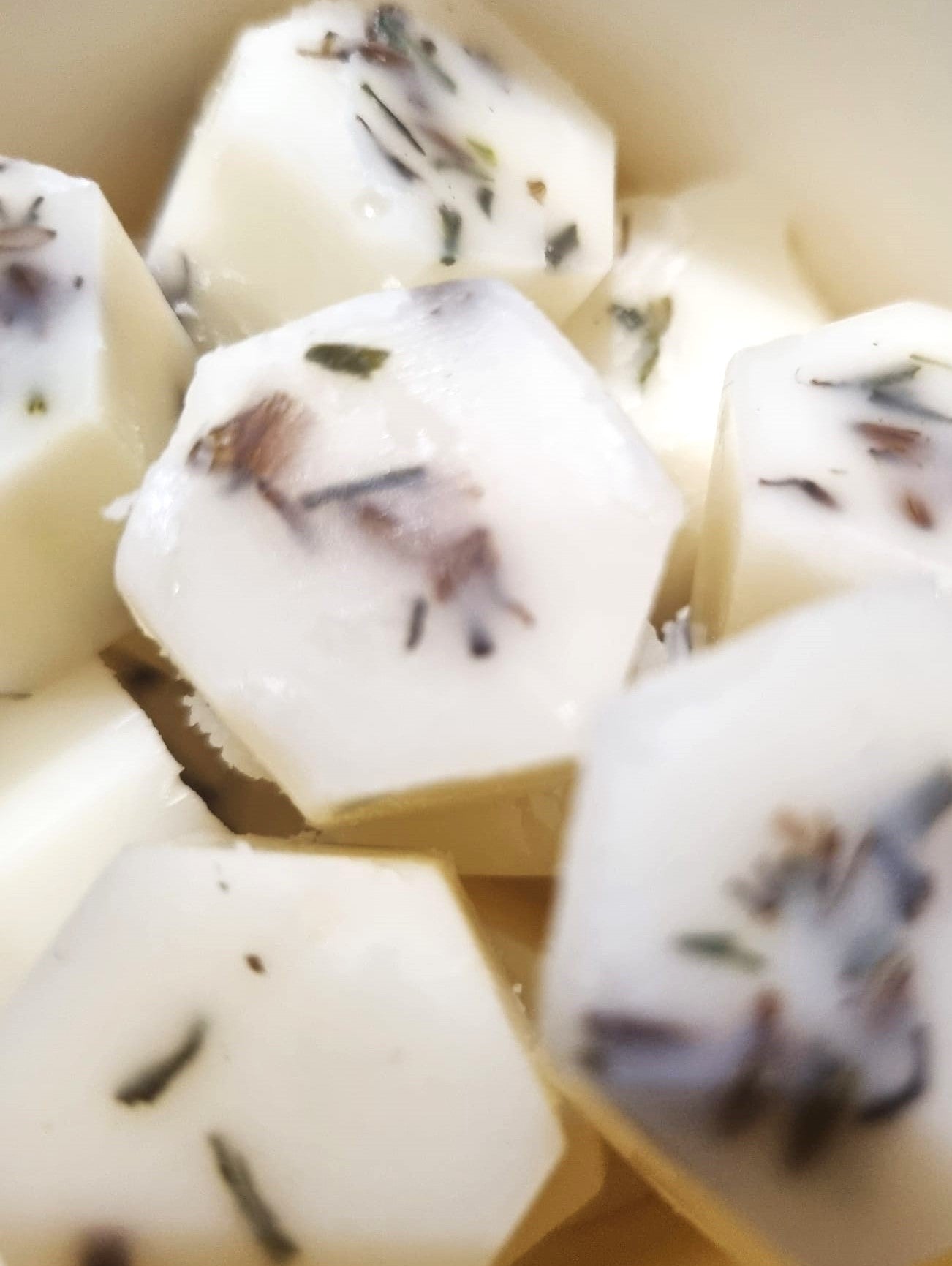 Rocksalt + Driftwood Botanical Wax Melts | Sustainable, Pet Safe & Natural Home Fragrance | Chantic Home