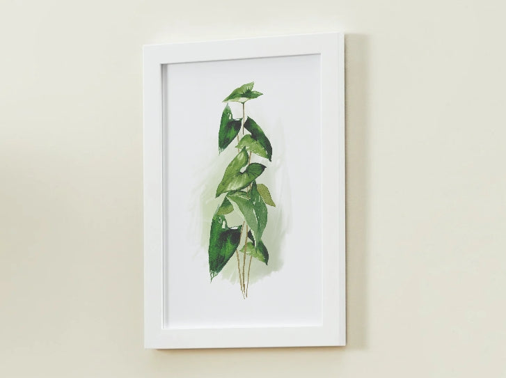 Plant Art Print, Plant Print
