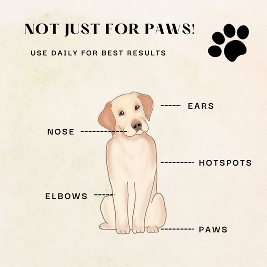 homemade dog paw balm for cracked paws in dogs, best paw balm for dogs, cat paw balm, paw and nose balm