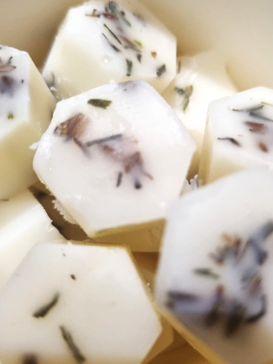 Rocksalt + Driftwood Botanical Wax Melts | Sustainable, Pet Safe & Natural Home Fragrance | Chantic Home