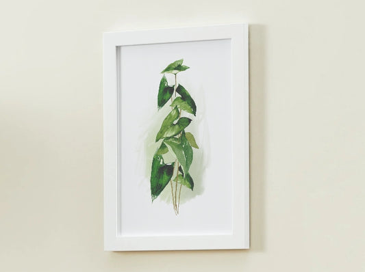 Plant Art Print, Plant Print