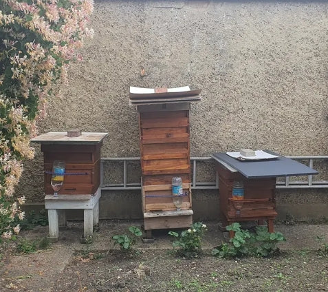 Roy's Bees 🐝  - Local Harrow Honey 424g/ 1lb