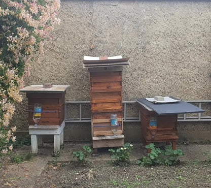 Roy's Bees 🐝  - Local Harrow Honey 424g/ 1lb