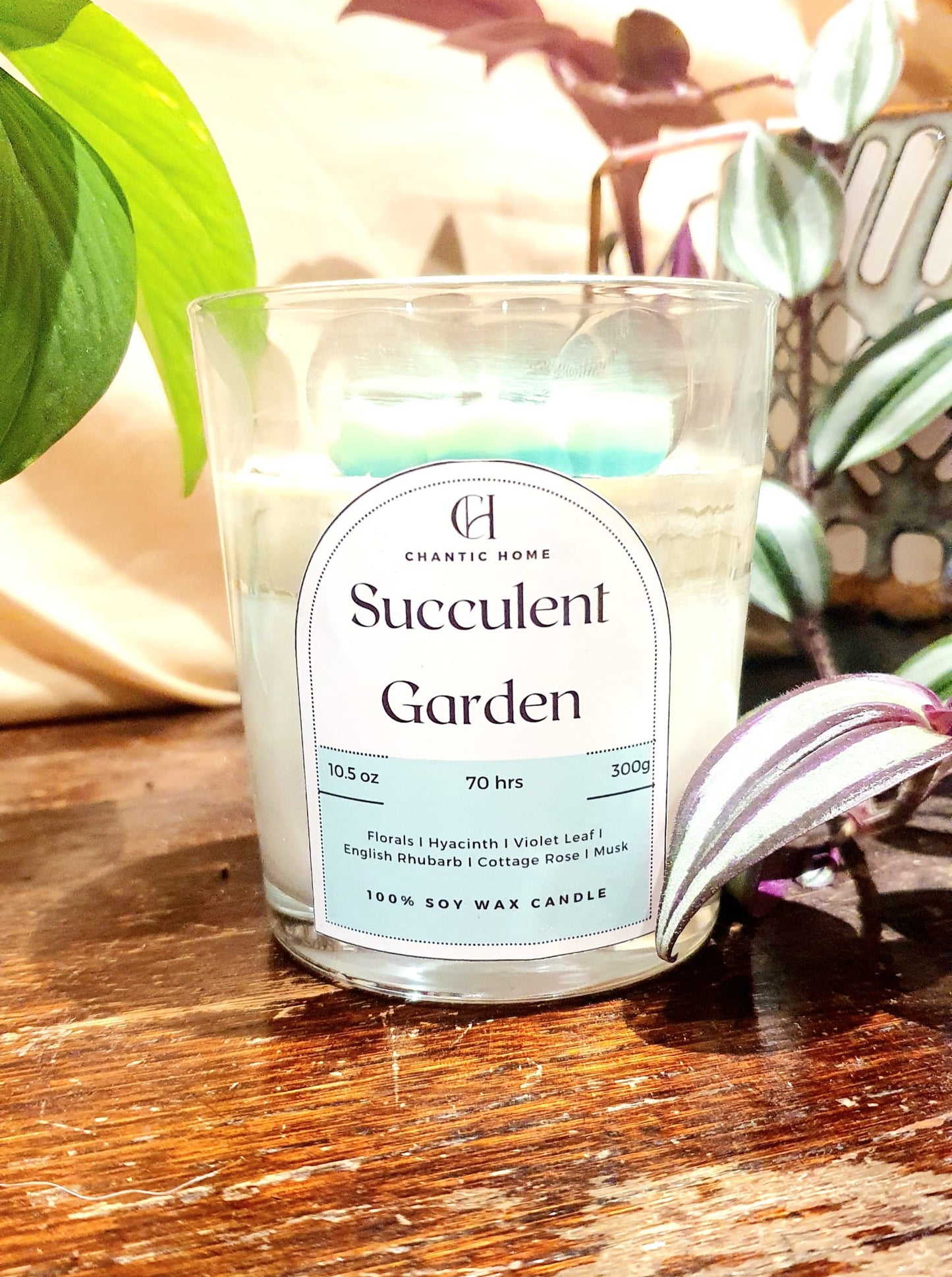 Succulent Garden Botanical Candle 30cl
