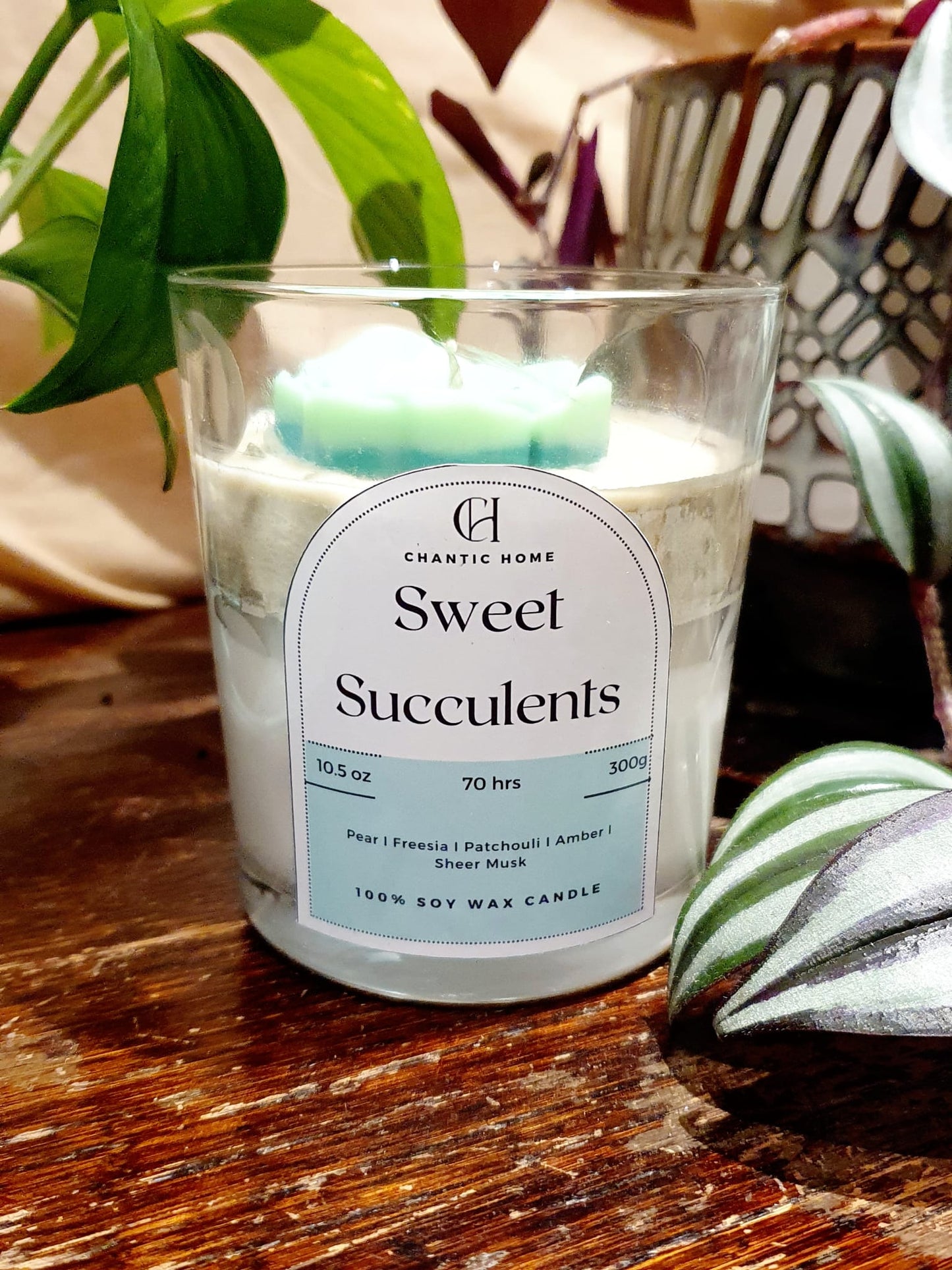 Sweet Succulents Botanical Candle 30cl