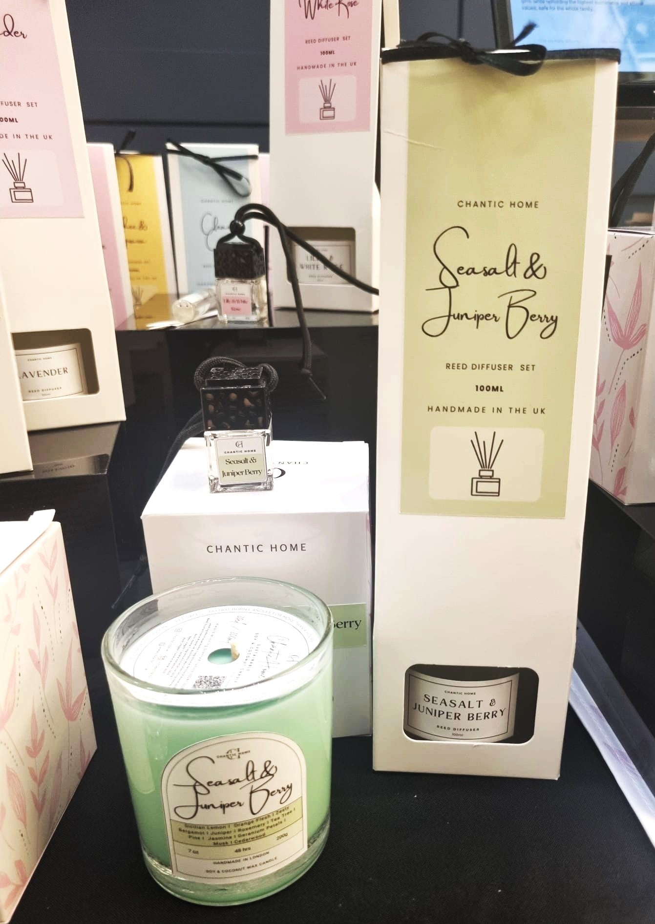 Seasalt & Juniper Berry 10cl/ 100ml | Vegan Reed Diffuser Set | Pet-Safe Luxury Home Fragrance | Chantic Home