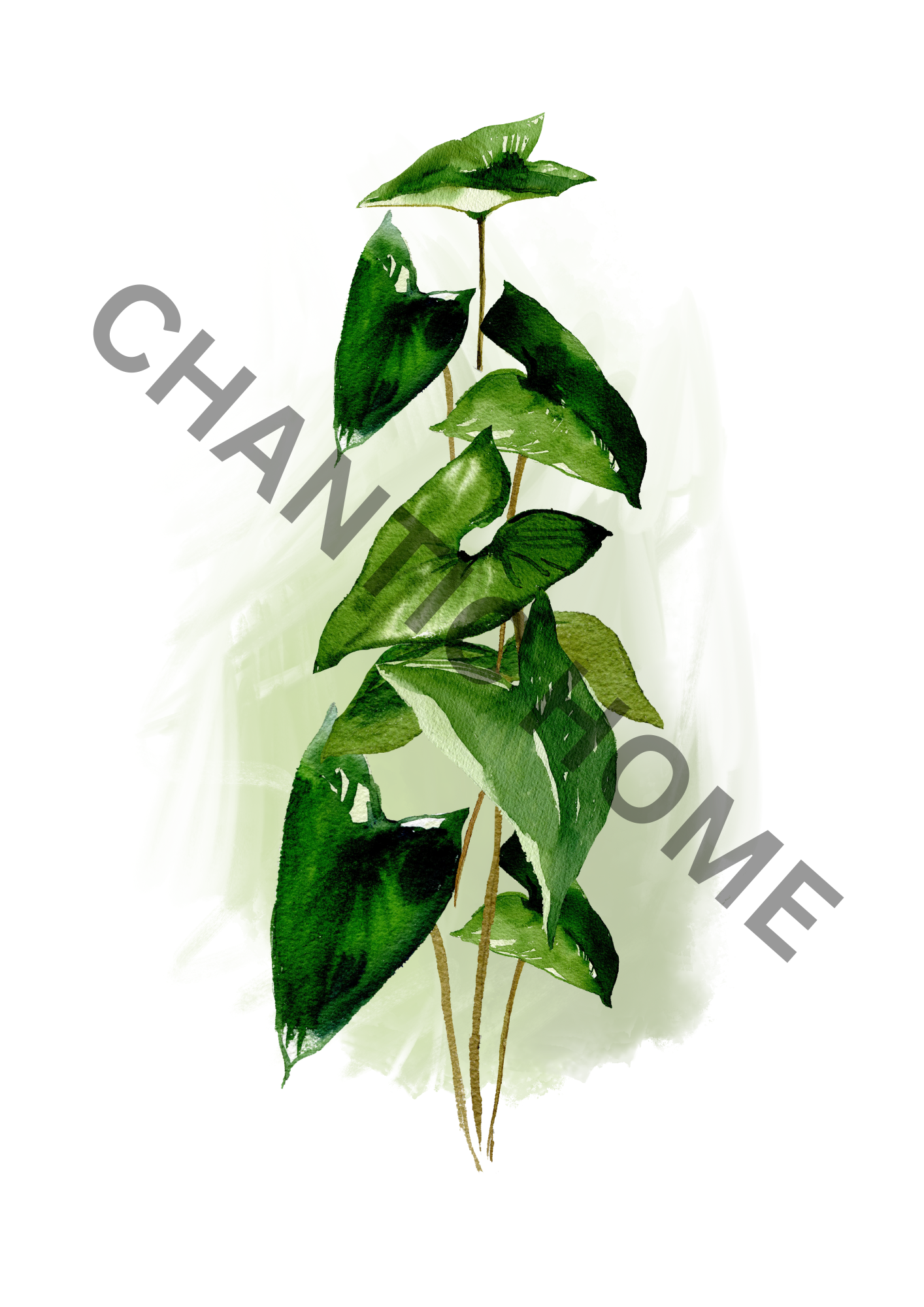 Digital Art -Green Plant [A4 Printable Wall Art]